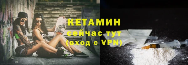 гидра Новозыбков