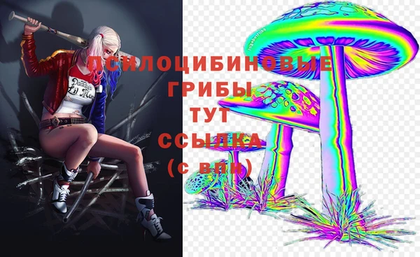mdpv Валдай