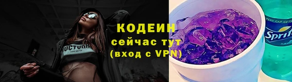 дурь Няндома
