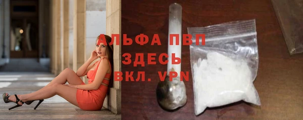 дурь Няндома