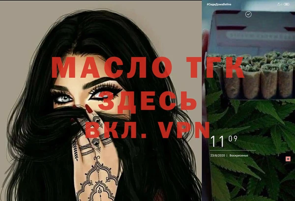 дурь Няндома