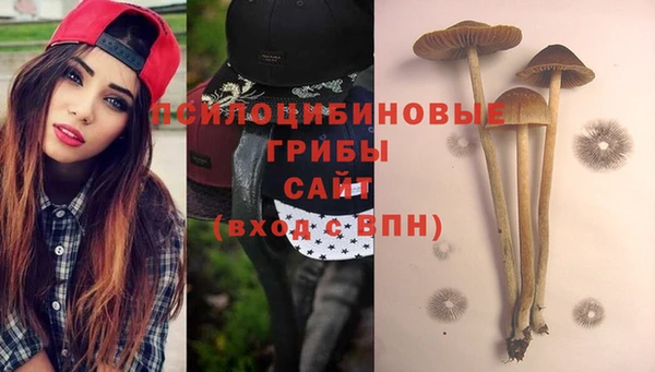 mix Новодвинск