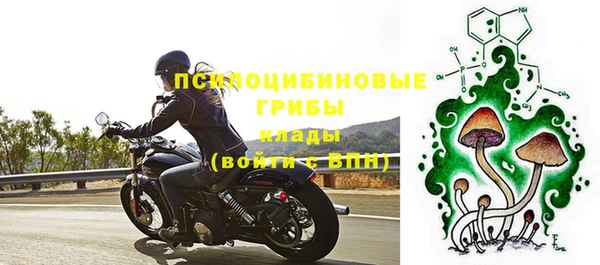 альфа пвп Нязепетровск