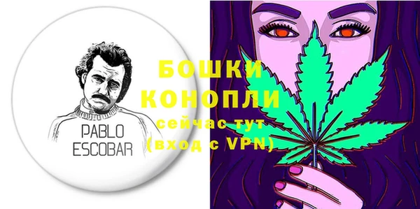 гидра Новозыбков