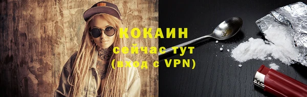 дурь Няндома