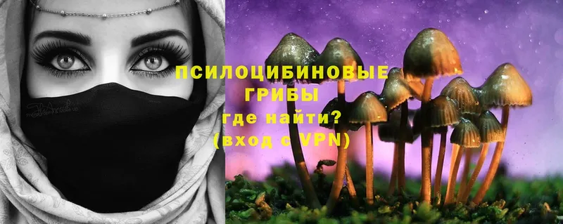 MEGA   купить закладку  Амурск  Псилоцибиновые грибы Cubensis 