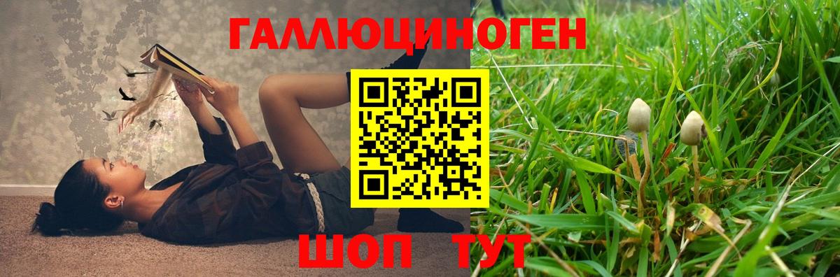 Псилоцибиновые грибы Psilocybine cubensis Амурск
