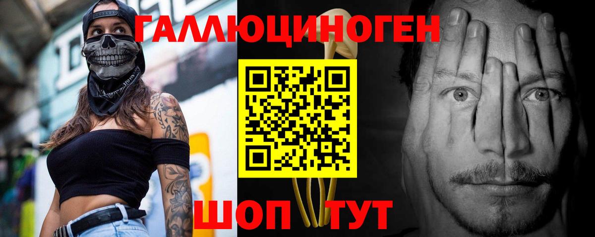 Псилоцибиновые грибы Cubensis  Вход с VPN  Амурск 