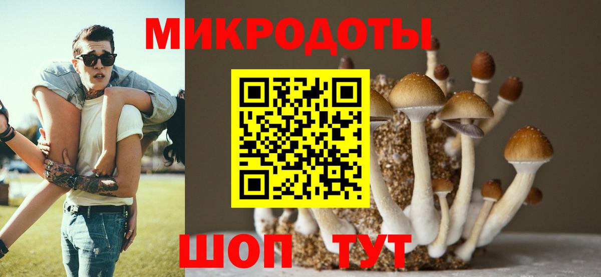 Амурск  Галлюциногенные грибы GOLDEN TEACHER  Вход с VPN  Псилоцибиновые грибы GOLDEN TEACHER 